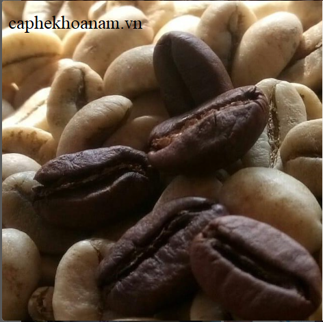 GIÁ CÀ PHÊ SỐNG LOẠI ROBUSTA NGÀY 05/06/2024: TIẾP TỤC ĐỨNG Ở MỨC CAO