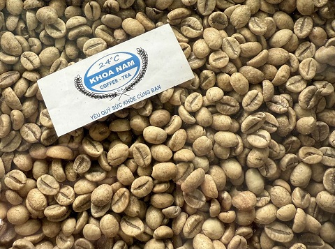 GIÁ CÀ PHÊ LOẠI ROBUSTA NGÀY 13/01/2025