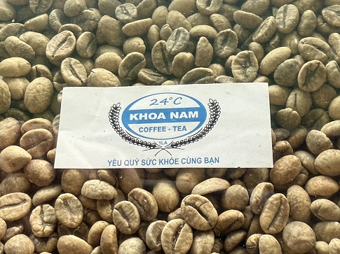 GIÁ CÀ PHÊ SỐNG LOẠI ROBUSTA NGÀY 07/12/2024: CHẠM NGƯỠNG 130.000 Đ/KG