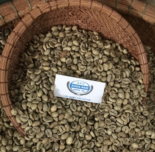  GIÁ CÀ PHÊ SỐNG LOẠI ROBUSTA NGÀY 01/04/2024: GIÁ CÀ PHÊ TRONG NƯỚC ỔN ĐỊNH Ở MỨC CAO