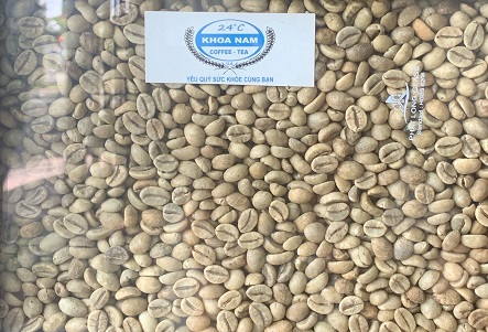 GIÁ CÀ PHÊ SỐNG LOẠI ROBUSTA NGÀY 02/07/2024: GIÁ TĂNG NHẸ VƯỢT MỨC 120.000 ĐỒNG/KG