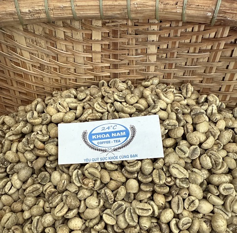 GIÁ CÀ PHÊ SỐNG LOẠI ROBUSTA NGÀY 05/06/2025